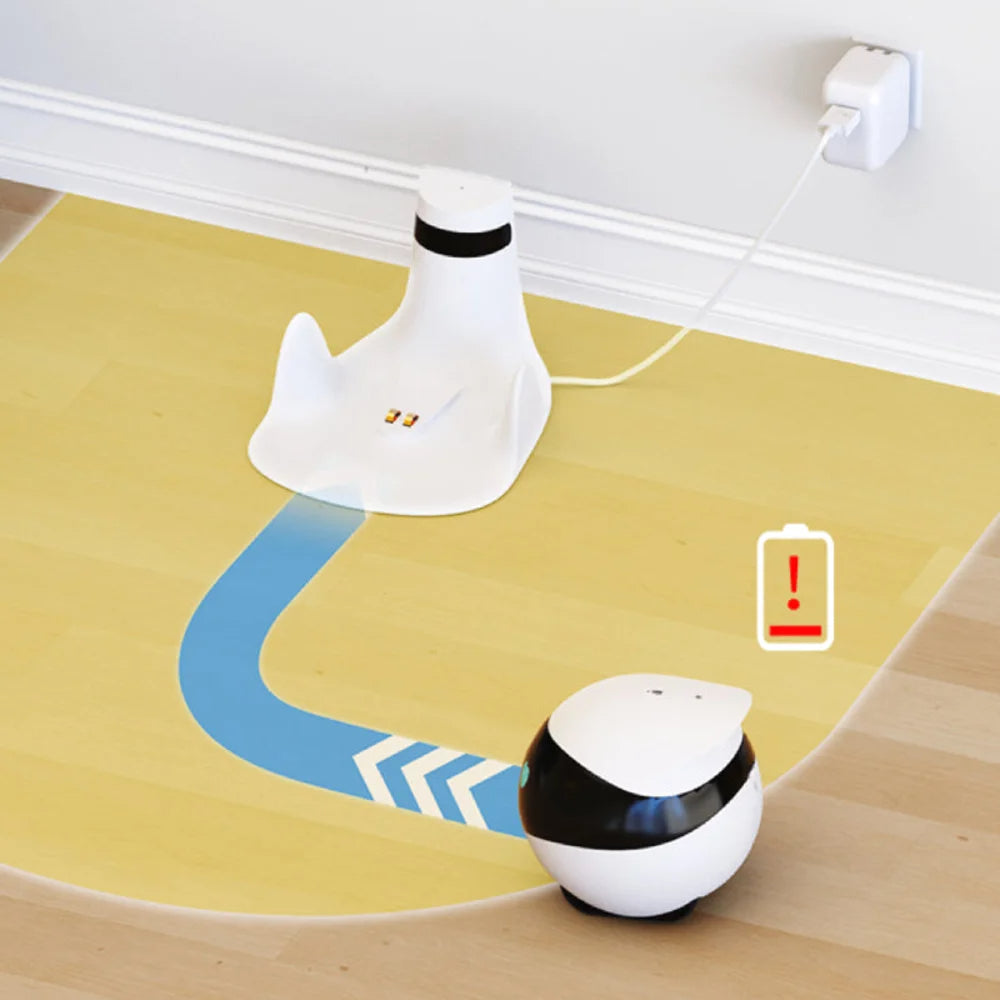 Remote Camera Robot